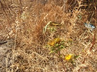 gale-20120725 159